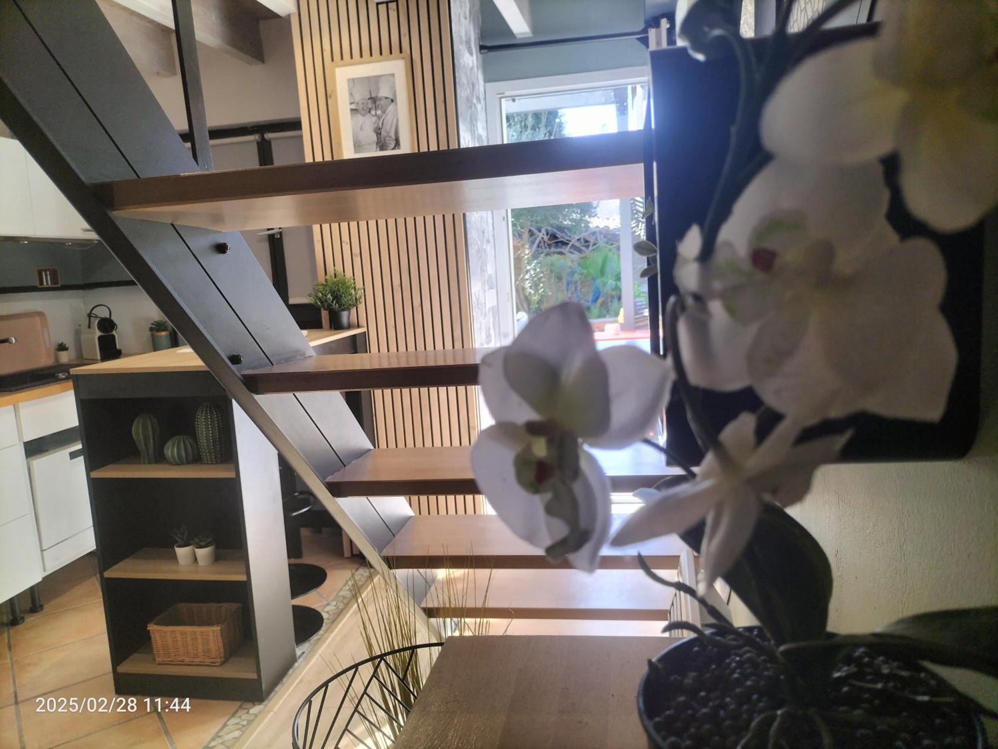 Appartement Au Bord Du Vieux Moulin à Mérignac Extérieur photo